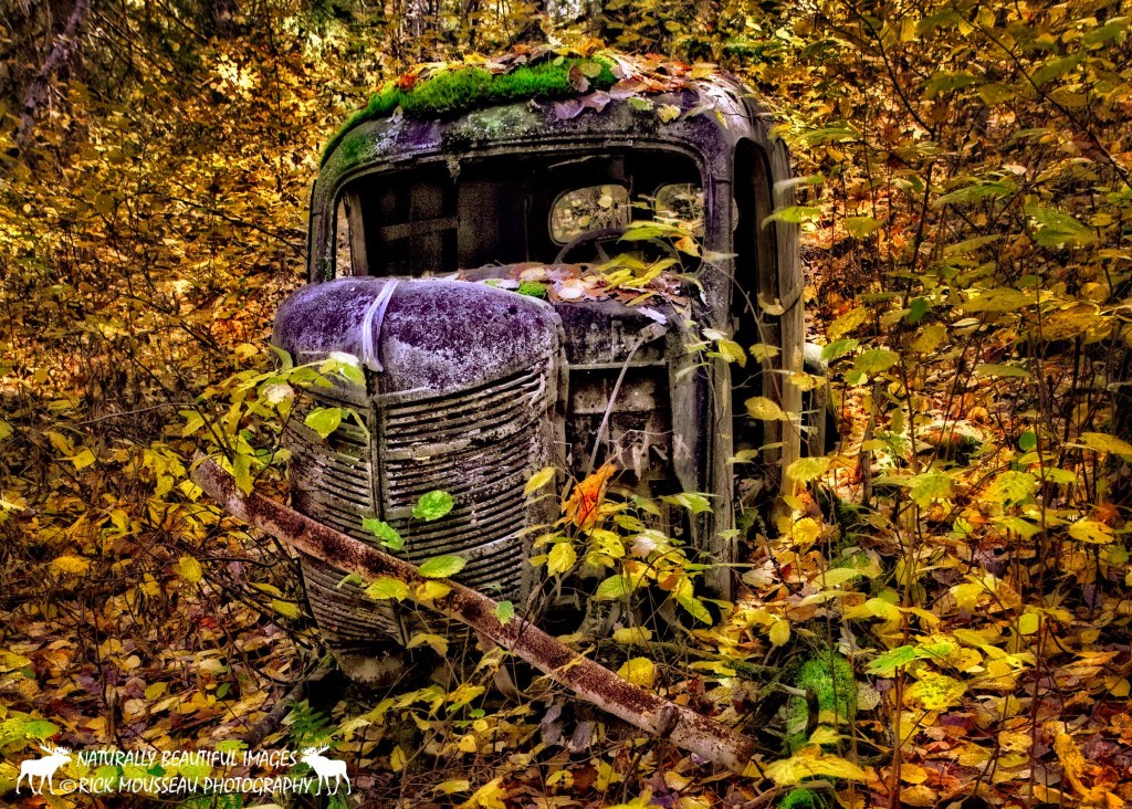 rusty-truck-horizontal-Mousseau-2